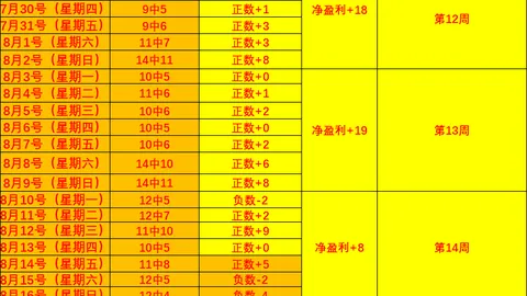 2026湖人新阵容磨合期太阳城：霍里视角下的耐心等待指南